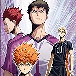 ハイキュー!! iPad壁紙 日向翔陽,月島蛍,牛島若利,天童覚 ハイキュー!! iPad壁紙 日向翔陽,月島蛍,牛島若利,天童覚