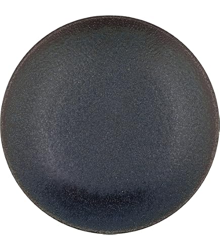 Amazon.co.jp: カネスズ セラミックス 業務用食器 カリタ ミート