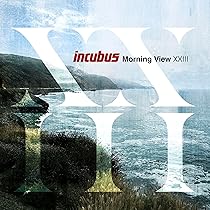 希少　Incubus Morning View レコード　2枚組み　2002年頃 希少 Incubus Morning View レコード 2枚組み 2002年頃 - メルカリ