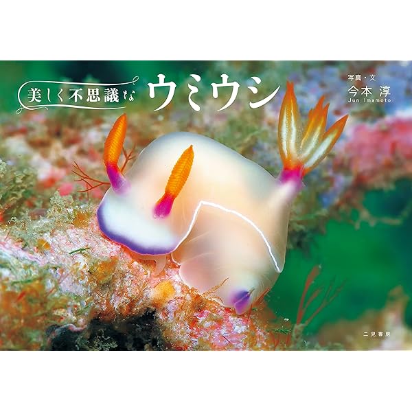 Amazon.co.jp: 新版 ウミウシ：特徴がひと目でわかる図解付き