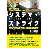 ロシアン武術が教える、非破壊の打撃術 システマ・ストライク