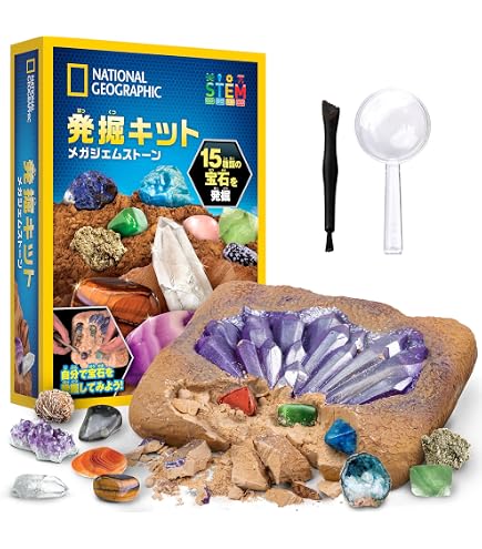 Amazon | 化石発掘体験キット（バラエティーセット）4個以上の化石入り