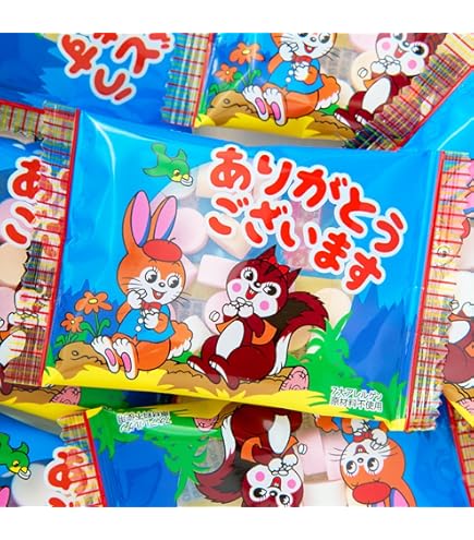 Amazon.co.jp: 【アミューズメントな駄菓子】カクダイ ビックパック