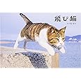 飛び猫