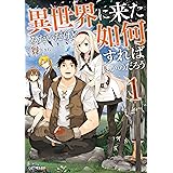 異世界に来たみたいだけど如何すれば良いのだろう 1 (GCノベルズ)