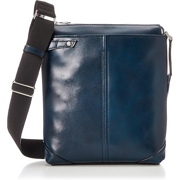 Amazon | [アコースティック・ワールド] FRANK フランク フラップ