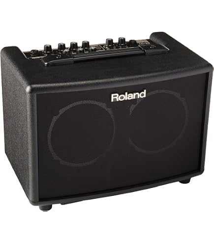 Amazon.co.jp: Roland ローランド アコースティック ギター アンプ AC 