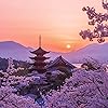 世界遺産 - 桜色の厳島神社五重塔の夕景 iPad壁紙 121263