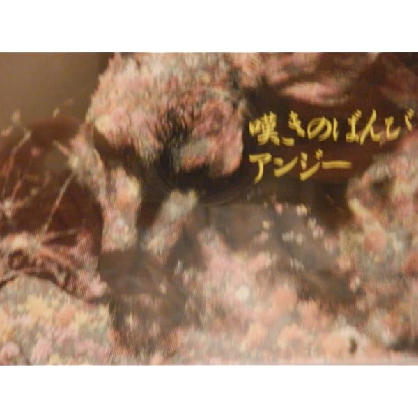 Amazon.co.jp: 1987DX キャプテン・コレクション[名盤1100円 2024
