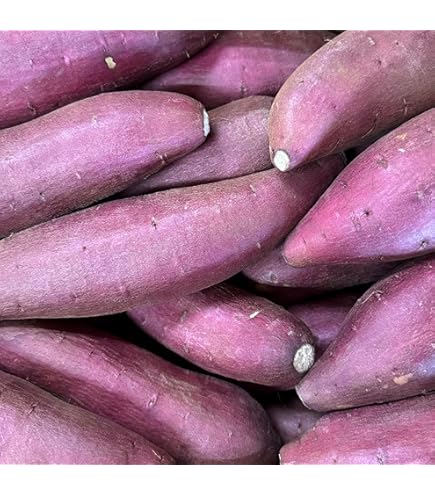 Amazon.co.jp: 京都産 海老芋 えびいも 大サイズ 5kg 8個前後入り