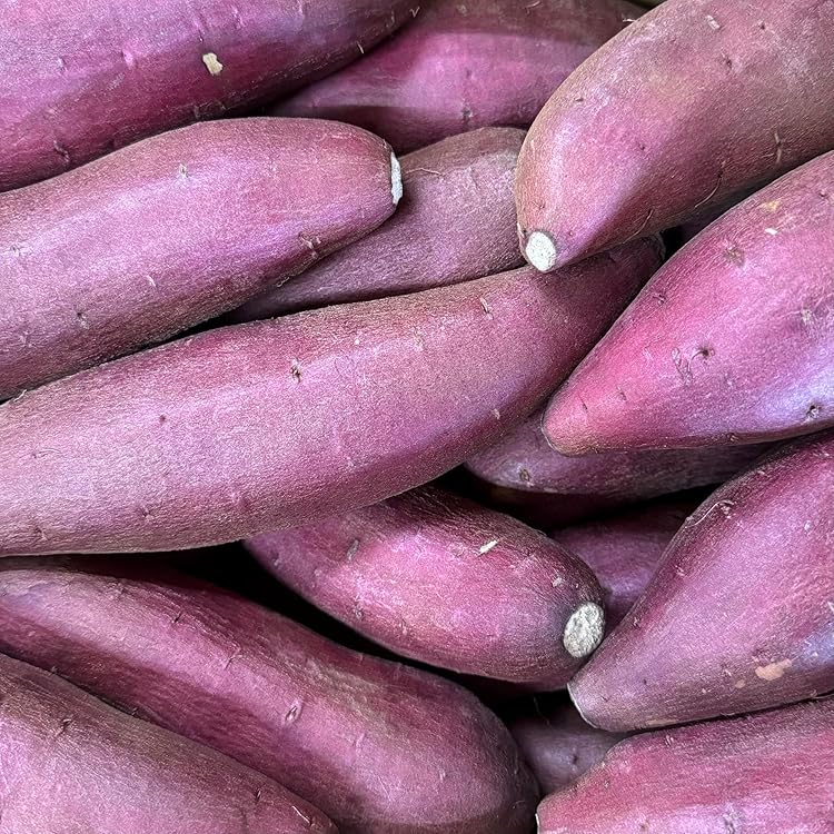 Amazon.co.jp: さつまいも 5kg 紅はるか 茨城県産 18～22本前後 M