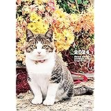 2024 岩合光昭 ねこ diary&schedule