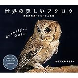 世界の美しいフクロウ 神秘的なポートレートと生態