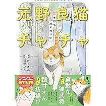 Amazon.co.jp: 【Amazon.co.jp 限定】元野良猫チャチャ 本日も見