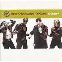 【新品未開封】3枚SALSOUL Brand New Heavies CHIC 新品未開封】3枚SALSOUL Brand New Heavies CHIC Brand New