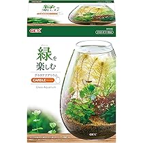 アクアリウム　アクアテラリウム　ビッグウイング 107371-3.jpg