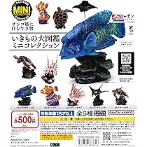 Amazon.co.jp: いきもの大図鑑ミニコレクション サンゴ礁に住む