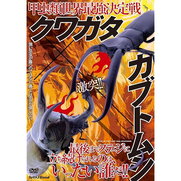 【中古】 カブトムシｖｓクワガタムシ最強バトルＤＶＤブック/雄出版 カブトムシVSクワガタムシ最強バトルDVDブック - メルカリ