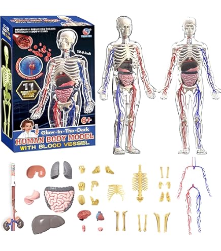 Amazon.co.jp: 激レア 当時物 昭和レトロ マルサン プラモデル