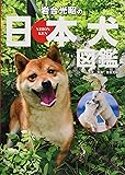 岩合光昭の日本犬図鑑