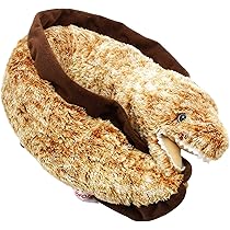 91Jr3DMpQtL._AC_UL210_SR210,