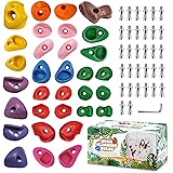 TOPNEW 32 Rock Climbing Holds Multi Size for Kids, Adult Rock Wall Holds Climbing Rock Wall Grips for Indoor and Outdoor Play