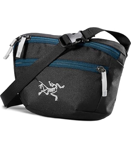 Amazon.co.jp: アークテリクス ARC'TERYX Mantis 2 Waist Pack Canvas