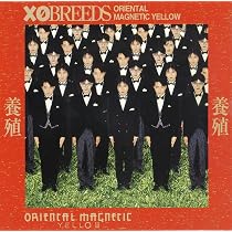 Amazon.co.jp: Oriental Magnetic Yellow: ミュージック