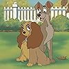 レディ(Lady),トランプ(Tramp) ディズニー - レディ(Lady),トランプ(Tramp) iPad壁紙 304464