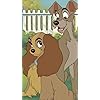 レディ(Lady),トランプ(Tramp) ディズニー - レディ(Lady),トランプ(Tramp) iPhoneSE/5s/5c/5(640×1136)壁紙 312434