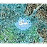 INSTRUMENTALS-∞