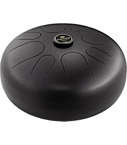 Amazon | Tongue Hand Pan/RAV Vast 2 / G Pygmy / (in case) (Steel