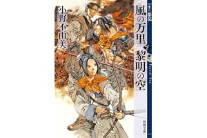 風の万里 黎明の空（下）　十二国記　４の表紙