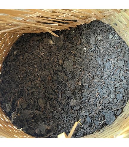 Amazon.co.jp: 中茶六堡茶500g 濃いヘイチャ 中国古典圧縮茶 : 食品