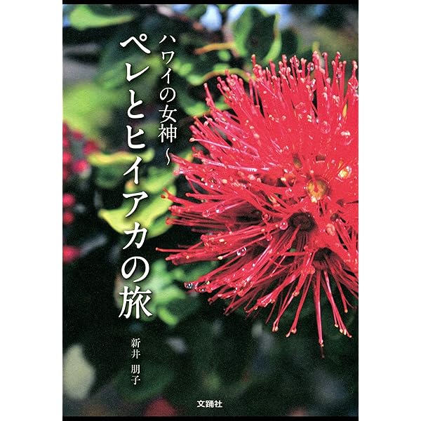 ハワイの女神 ペレとヒイアカの旅 | 新井朋子 | 趣味・実用