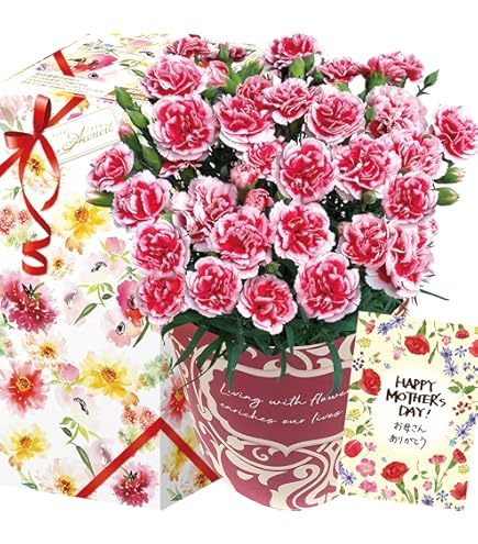 Amazon｜母の日 ギフト 母の日専用 季節の寄せ鉢 寄せカゴ お任せ種類