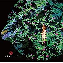 新居昭乃 懐かしい未来 空の森 そらの庭 降るプラチナ 他CD12枚セット Amazon.co.jp: 降るプラチナ: ミュージック