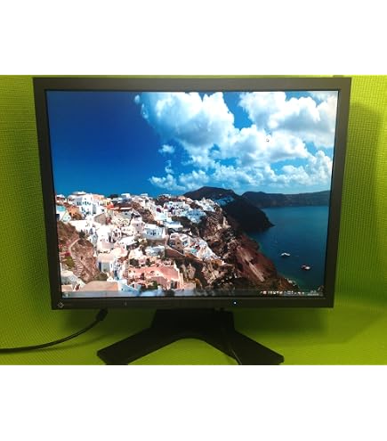 Amazon.co.jp: EIZO RadiForce RX250 縦型 21.3インチ ワイド モニタ