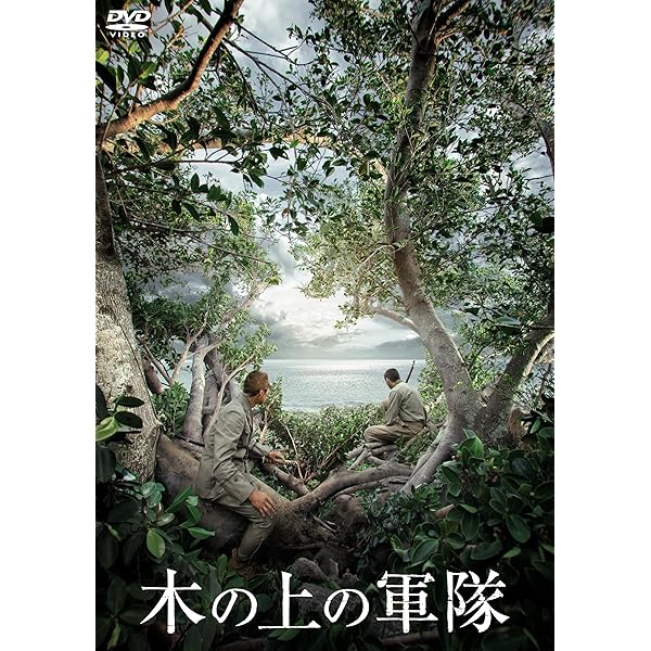 Amazon.co.jp: 火垂るの墓 [Laser Disc] : 高畑勲: DVD