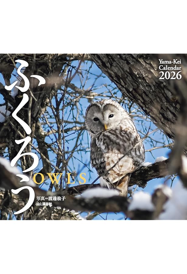 カレンダー2025 ふくろう（月めくり/壁掛け） (ヤマケイカレンダー2025