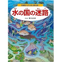 ポケット版 忍者の迷路 戦国時代を大冒険! 【4歳 5歳からの絵本