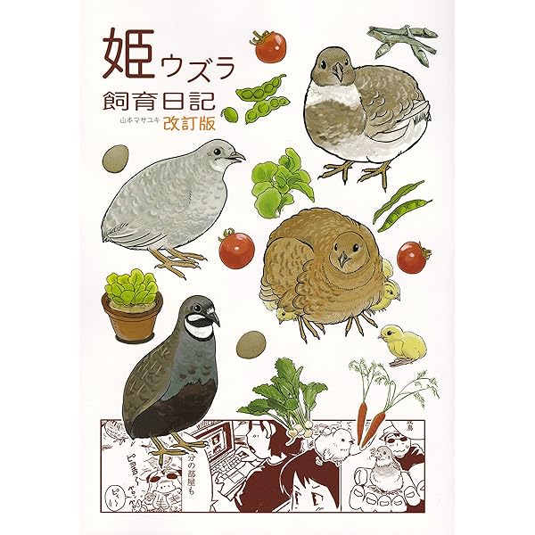 うずらのじかん3 | マツダユカ, 上田 恵介 |本 | 通販 | Amazon
