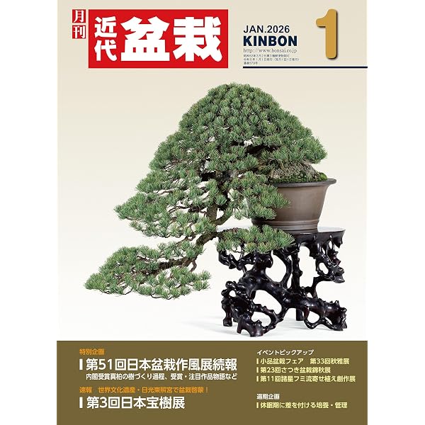 Amazon.co.jp: 盆栽名品集 第1巻 最高賞の名木たち（一）: 名品鑑賞で