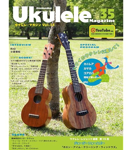 Amazon.co.jp: KALA ベース弦セット ウクレレベース ワウンドタイプ KA