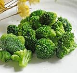 エクアドル産/インド産 ブロッコリー【ヘルシーで高たんぱく】大容量 1.5kg(500g×3) / 冷凍野菜 サラダチキン との相性バッチリ