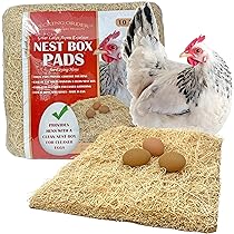 Manna Pro Oyster Shell Calcium - Crushed, Heat-Treated Egg Supplement For Poultry Oysters Food