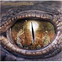 Amazon.co.jp: Rodrigo Y Gabriela (10th Anniversaryedition