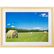 【在庫処分】FUJICOLOR 額縁 YM-3 アクリル 木地 全紙 木製 ベー Amazon.co.jp: FUJICOLOR 額縁 YM-3 アクリル 木地 A3 木製 ベージュ