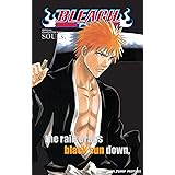 Bleach SOULs. Official Character Book