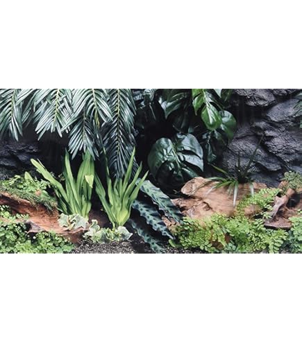 Amazon.co.jp: 3045 2枚 GEX バックボード エキゾテラ グラス